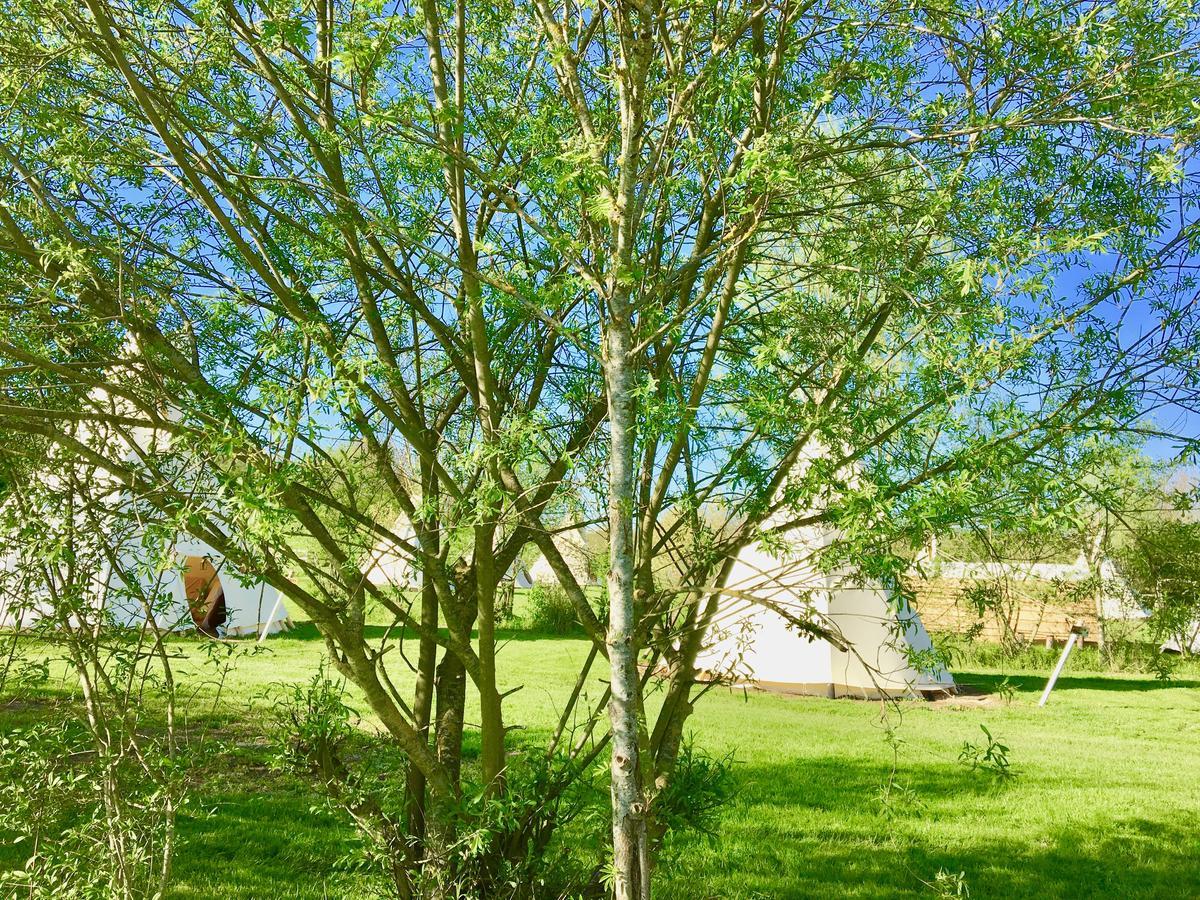 Les Tipis Du Bonheur De Vivre Hotel Brûlon Kültér fotó